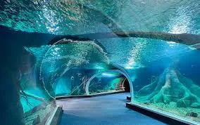 Bioparque Pantanal é o mais novo associado da AZAB e reforça compromisso com a biodiversidade