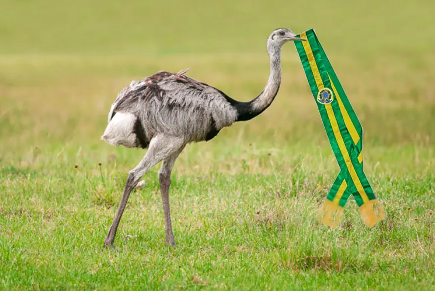 IBAMA EVITA RESPONDER SOBRE OVOS DE EMAS APÓS FRITADA DE LULA 