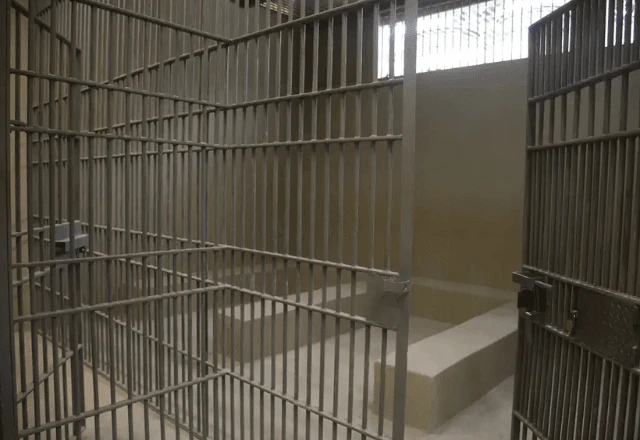  AUDIÊNCIAS DE CUSTÓDIA NO BRASIL: UMA BRECHA PARA A JUSTIÇA OU UM RISCO À SEGURANÇA?