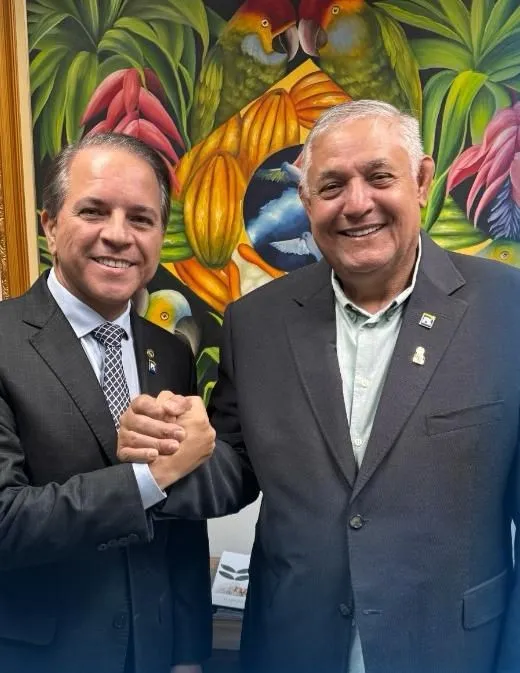 CORONEL DAVID ARTICULA E PL DEFINE LOSANE CARDINAL PARA LIDERAR PARTIDO EM AMAMBAI