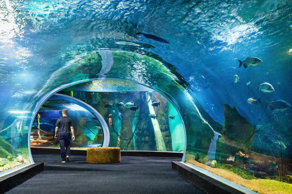 BIOPARQUE PANTANAL COMPLETA 3 ANOS E SE CONSOLIDA COMO REFERÊNCIA DE TURISMO CIENTÍFICO NO BRASIL