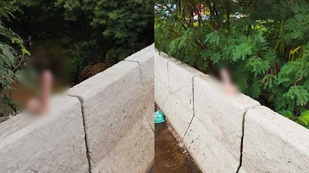 Será que é seu? Consolo é esquecido em ponte e atrai curiosos no Aero Rancho