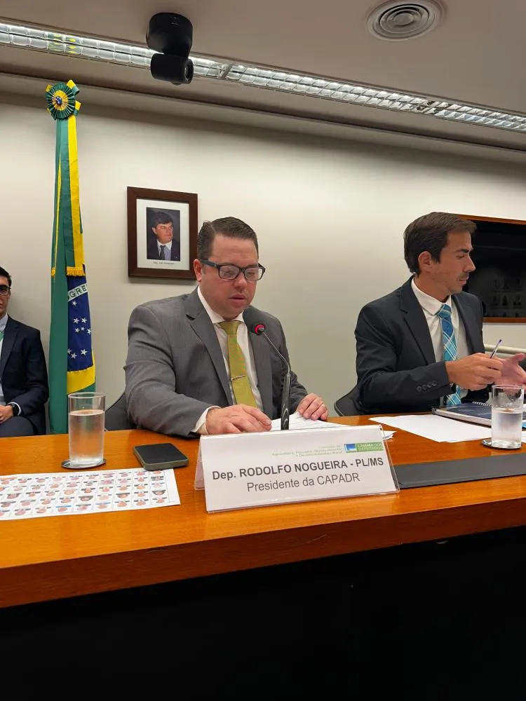 NA PRIMEIRA REUNIÃO DA COMISSÃO DE AGRICULTURA DEPUTADO RODOLFO NOGUEIRA “PASSA A BOIADA” E APROVA MAIS DE 50 ITENS